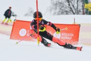 FIS Latvijas kauss 2.posms, jauniešu slaloms, Foto: E.Lukšo