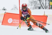 FIS Latvijas kauss 2.posms, jauniešu slaloms, Foto: E.Lukšo