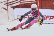 FIS Latvijas kauss 2.posms, jauniešu slaloms, Foto: E.Lukšo