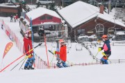 FIS Latvijas kauss 2.posms, jauniešu slaloms, Foto: E.Lukšo