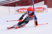 FIS Latvijas kauss 2.posms, jauniešu slaloms, Foto: E.Lukšo