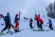 Kalnu slēpošanas treneru kursi, Foto: S.Meldere