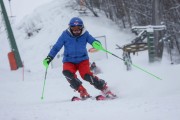 Kalnu slēpošanas treneru kursi, Foto: S.Meldere