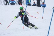 Kalnu slēpošanas treneru kursi, Foto: S.Meldere