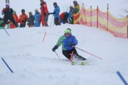 Kalnu slēpošanas treneru kursi, Foto: S.Meldere