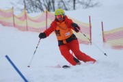 Kalnu slēpošanas treneru kursi, Foto: S.Meldere