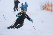 Kalnu slēpošanas treneru kursi, Foto: S.Meldere