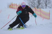 Kalnu slēpošanas treneru kursi, Foto: S.Meldere