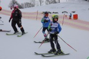 Vilciņa Kauss 2019 2.posms - Tarzāna kauss, Foto: S.Meldere