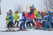 Vilciņa Kauss 2019 2.posms - Tarzāna kauss, Foto: S.Meldere