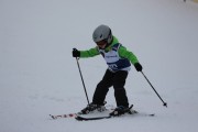 Vilciņa Kauss 2019 2.posms - Tarzāna kauss, Foto: S.Meldere