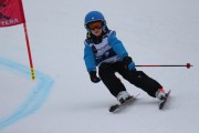 Vilciņa Kauss 2019 2.posms - Tarzāna kauss, Foto: S.Meldere