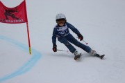 Vilciņa Kauss 2019 2.posms - Tarzāna kauss, Foto: S.Meldere