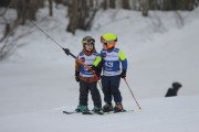 Vilciņa Kauss 2019 2.posms - Tarzāna kauss, Foto: S.Meldere