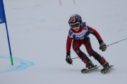 Vilciņa Kauss 2019 2.posms - Tarzāna kauss, Foto: S.Meldere