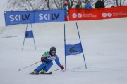 SSS sacensības kalnu slēpošanā 1. posms, Foto: S.Meldere