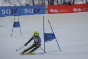 SSS sacensības kalnu slēpošanā 1. posms, Foto: S.Meldere