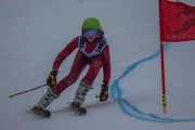 SSS sacensības kalnu slēpošanā 1. posms, Foto: S.Meldere