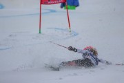 SSS sacensības kalnu slēpošanā 1. posms, Foto: S.Meldere
