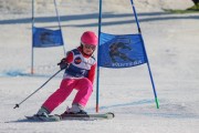 SSS sacensības kalnu slēpošanā 2. posms, Foto: S.Meldere