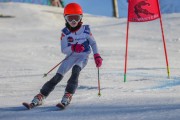 SSS sacensības kalnu slēpošanā 2. posms, Foto: S.Meldere