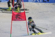 SSS sacensības kalnu slēpošanā 2. posms, Foto: S.Meldere