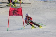 SSS sacensības kalnu slēpošanā 2. posms, Foto: S.Meldere