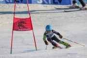 SSS sacensības kalnu slēpošanā 2. posms, Foto: S.Meldere