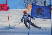 SSS sacensības kalnu slēpošanā 2. posms, Foto: S.Meldere