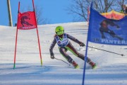 SSS sacensības kalnu slēpošanā 2. posms, Foto: S.Meldere