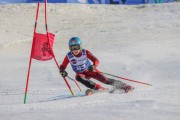 SSS sacensības kalnu slēpošanā 2. posms, Foto: S.Meldere