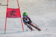 SSS sacensības kalnu slēpošanā 2. posms, Foto: S.Meldere