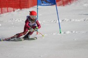 SSS sacensības kalnu slēpošanā 2. posms, Foto: S.Meldere