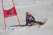 SSS sacensības kalnu slēpošanā 2. posms, Foto: S.Meldere