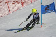 SSS sacensības kalnu slēpošanā 2. posms, Foto: S.Meldere