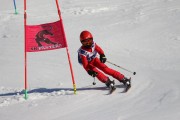 SSS sacensības kalnu slēpošanā 2. posms, Foto: S.Meldere