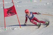 SSS sacensības kalnu slēpošanā 2. posms, Foto: S.Meldere