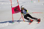 SSS sacensības kalnu slēpošanā 2. posms, Foto: S.Meldere