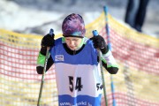 FIS Latvijas čempionāts 2019 otrais posms, jauniešu un meistaru sacensības