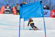 Baltijas kauss 2018 2.posms, jauniešu un meistaru GS, Foto: E.Lukšo