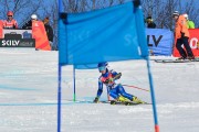 Baltijas kauss 2018 2.posms, jauniešu un meistaru GS, Foto: E.Lukšo