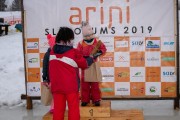 Āriņu slēpojums 2019