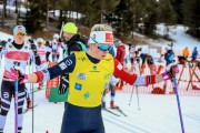 FIS Skandināvijas kauss 2019, sprints, Foto: A.Veckalniņš