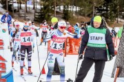 FIS Skandināvijas kauss 2019, sprints, Foto: A.Veckalniņš