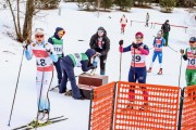 FIS Skandināvijas kauss 2019, sprints, Foto: A.Veckalniņš