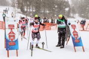 FIS Skandināvijas kauss 2019, sprints, Foto: A.Veckalniņš