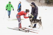 FIS Skandināvijas kauss 2019, sprints, Foto: A.Veckalniņš