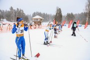 FIS Skandināvijas kauss 2019, sprints, Foto: A.Veckalniņš