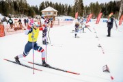 FIS Skandināvijas kauss 2019, sprints, Foto: A.Veckalniņš