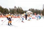 FIS Skandināvijas kauss 2019, sprints, Foto: A.Veckalniņš